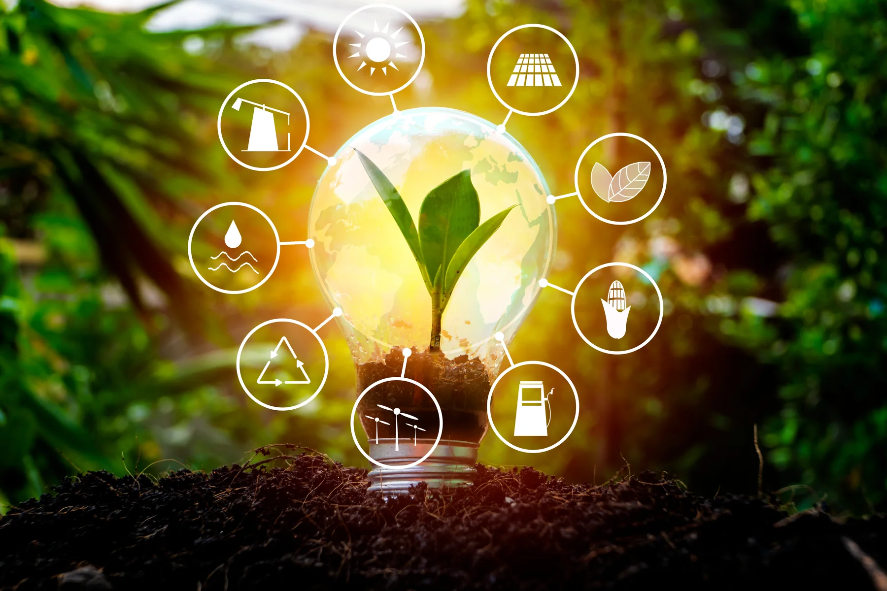 Renewable energy concept