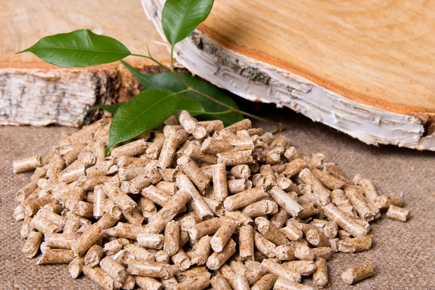Wood pellet biomass product